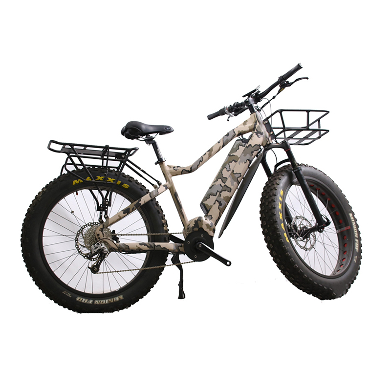 Lelli Cheap 48v 750w 1000w Belt Driven Mid Motor Fat Tire Electric Bike
