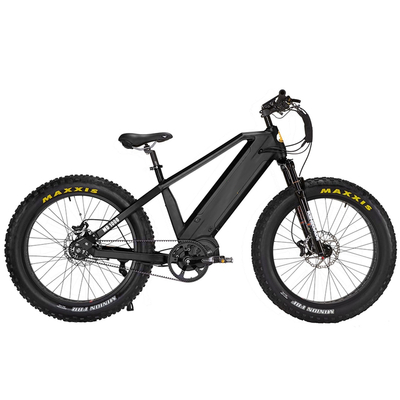 2020 New Dual Battery 48V 1000W Cheap Mid Drive Fat Tire Electric Bike Mountain Ebike Fat Bike Electric Bicycle