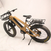 2020 Bafang M620 Motor Mid Drive Fat Tire Electric Mountain Bike /eMTB with Hard Tail 